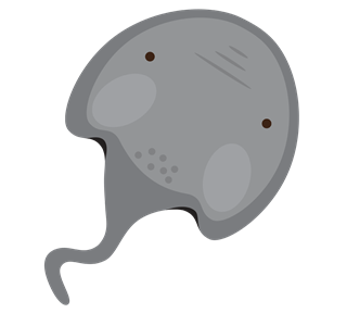 StingRay Sticker