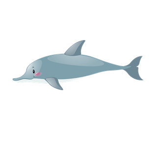 Dolphin 3 Sticker