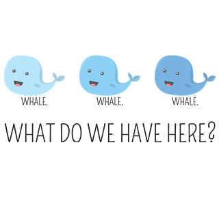 Whale Whale Whale Sticker