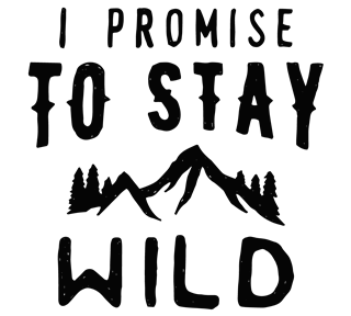 Stay Wild Motivational Quote Sticker