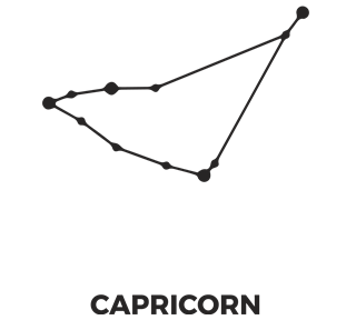 Zodiac Stars Capricorn Sticker