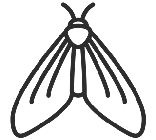 Moth Outline Sticker