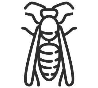 Cockroach Outline Sticker