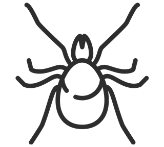 Spider Outline Sticker