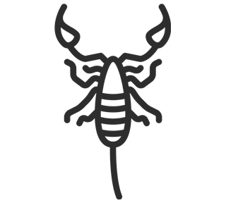 Scorpion Outline Sticker