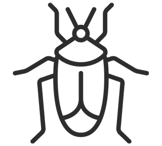 Beetle Sticker