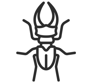 Beetle Outline Sticker