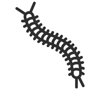 Centipede Outline Sticker