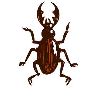 Beetle Sticker