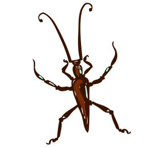 Beetle Sticker