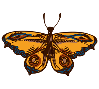 Sketched Butterfly Sticker