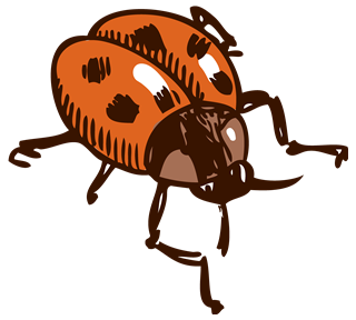 Ladybug Sticker
