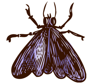 Moth Sticker