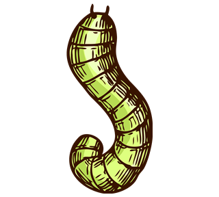 Caterpillar Sticker