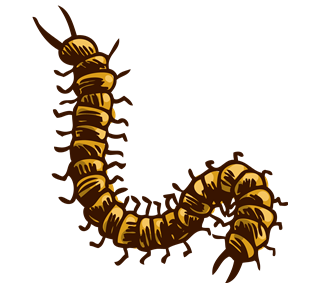 Centipede Sticker