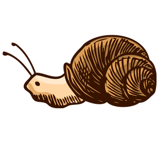 Snail Sticker
