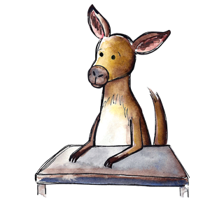 Kangaroo Sticker