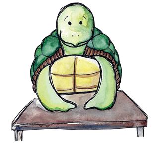 Turtle Sticker