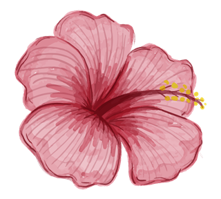 Pink Hibiscus Flower Sticker