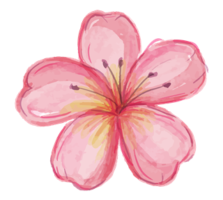 Pink Petal Flower Sticker