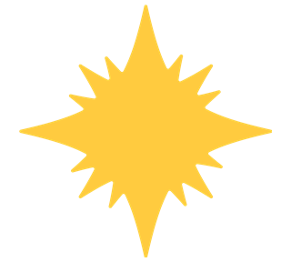 Star Burst Sticker