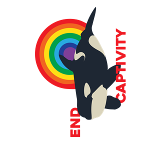 End Captivity Rainbow Orca Whale Sticker