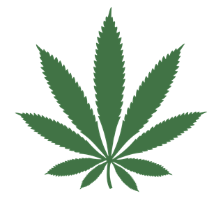 Green Leaf.pdf Sticker