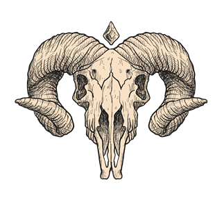 Goat Skull Sketch Sticker