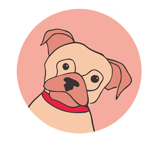 Pug on pink Sticker