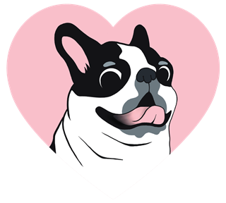 Boston Terrier Pink Love Heart Sticker