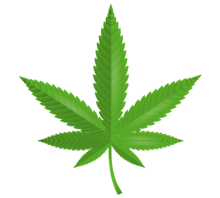 Marijuana.png Sticker