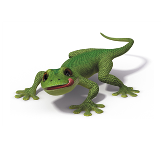gecko.jpg Sticker