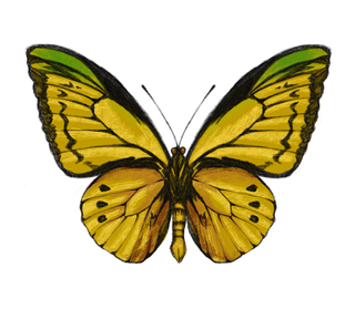 One Yellow Butterfly Sticker