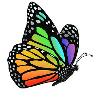 Rainbow Butterfly Sticker