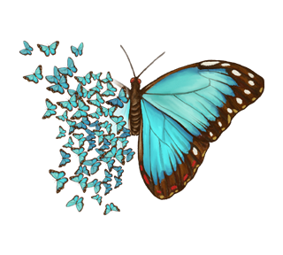 Aesthetic Butterfly Explosion Sticker