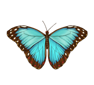 Painted Butterfly Sticker