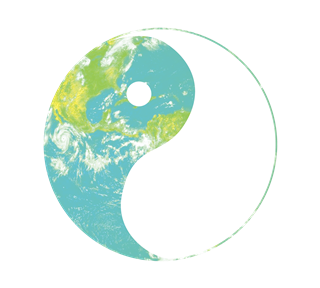 Earth Space Ying Yang Sticker