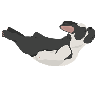 Dog Belly Single Sticker