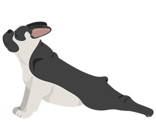 Dog Stretch Single Sticker