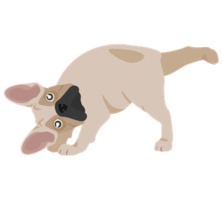 Downward Dog Single Sticker
