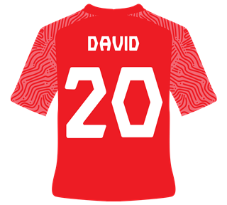 David Jersy Red Sticker