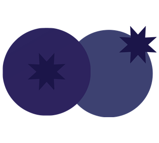 Blueberry Style 1 Sticker