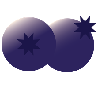 Blueberry Style 2 Sticker
