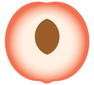 Half Peach Style 2 Sticker
