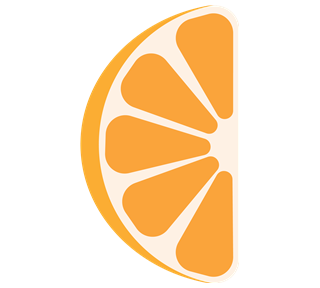 Orange Slice Style 1 Sticker