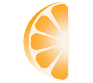 Orange Slice Style 2 Sticker