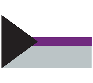 Demisexual Sticker