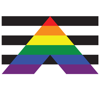 Straight Ally Sticker