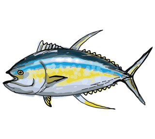 Tuna Sticker