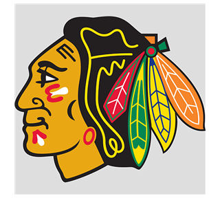 bhawkslogolrg.jpg Sticker